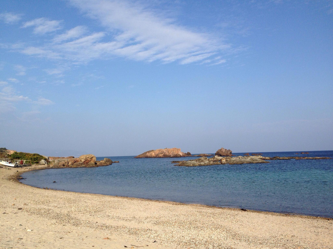 Tsumekizaki Tawara Iso Beach景点图片