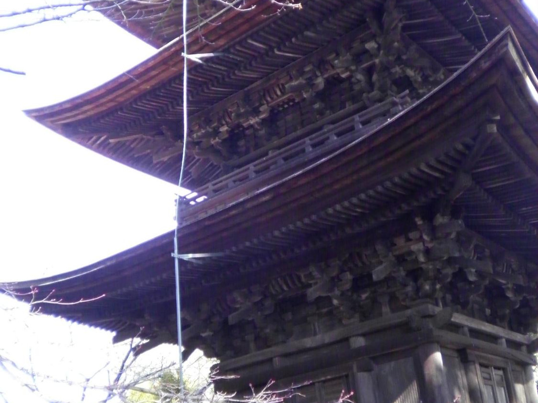 Sanmyoji Temple-丰川市必去景点