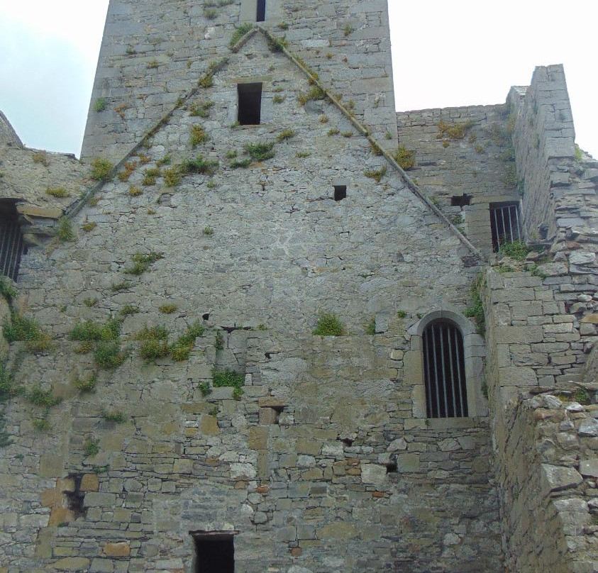 Ardfert Friary-Ardfert必去景点