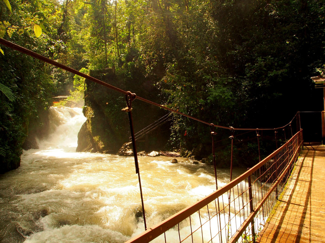 Hostal Charito de Mindo主图