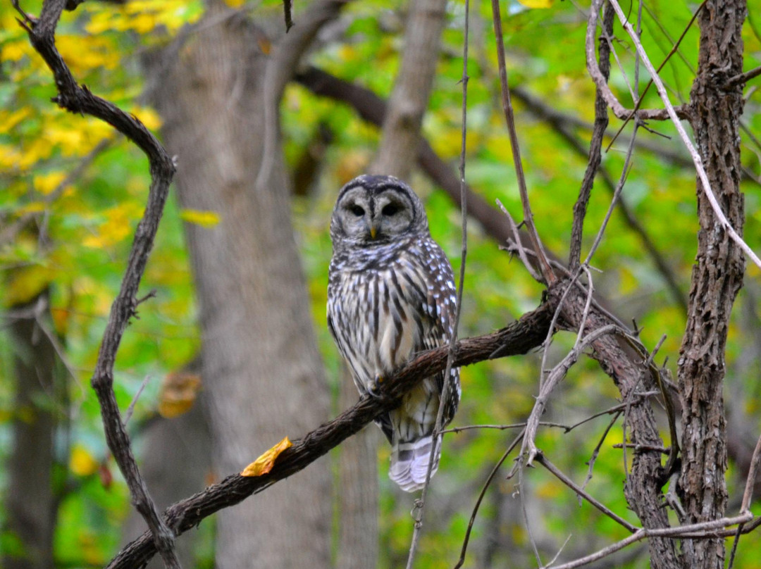 Weston Bend State Park-Weston必去景点