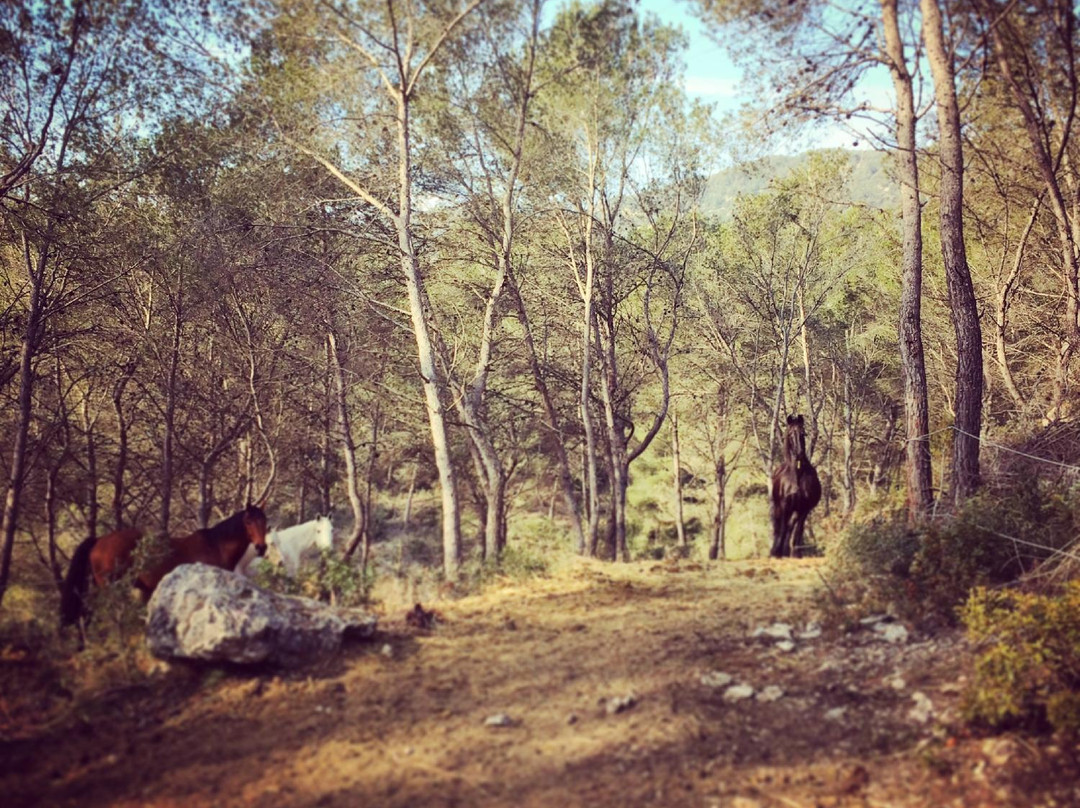 Hipica Y Refugio Tikotta景点图片