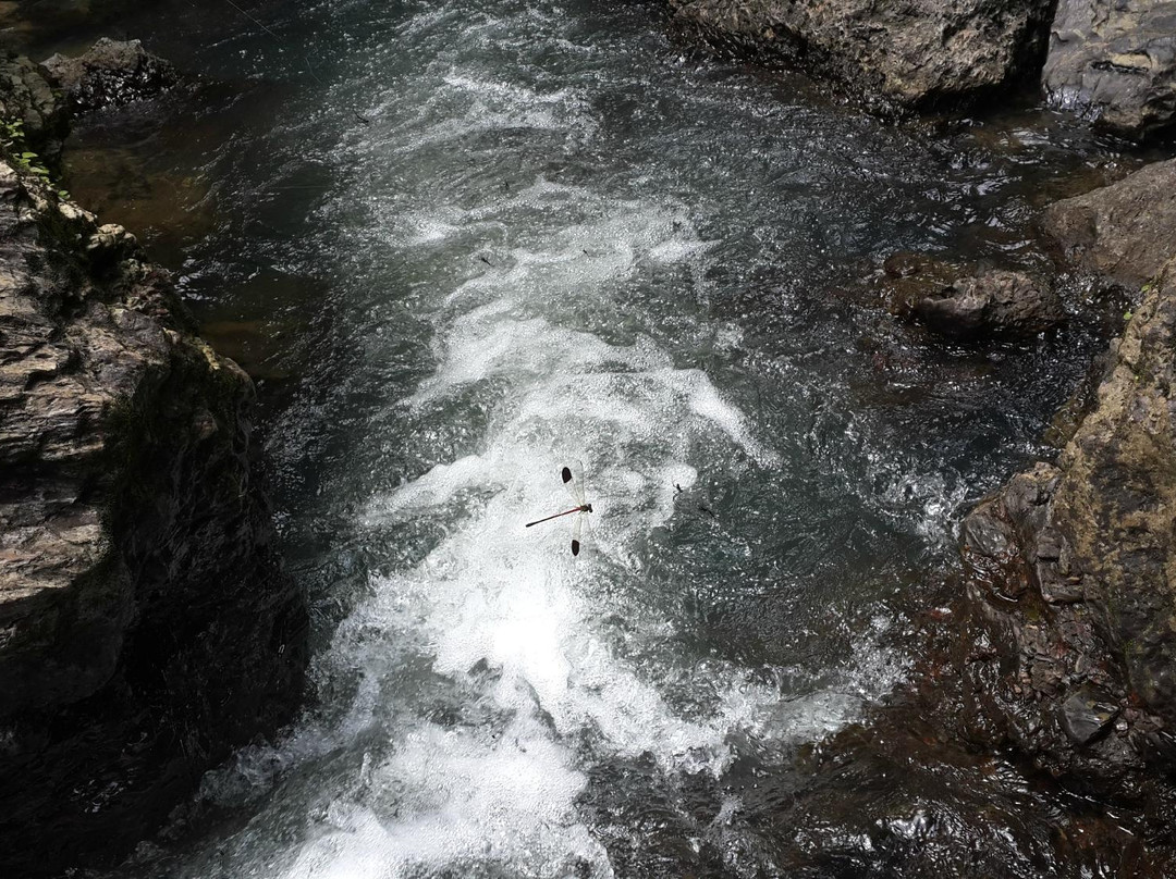 Jogigundi Falls景点图片
