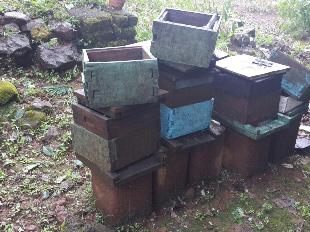 Honey Bees Centre-Saputara必去景点