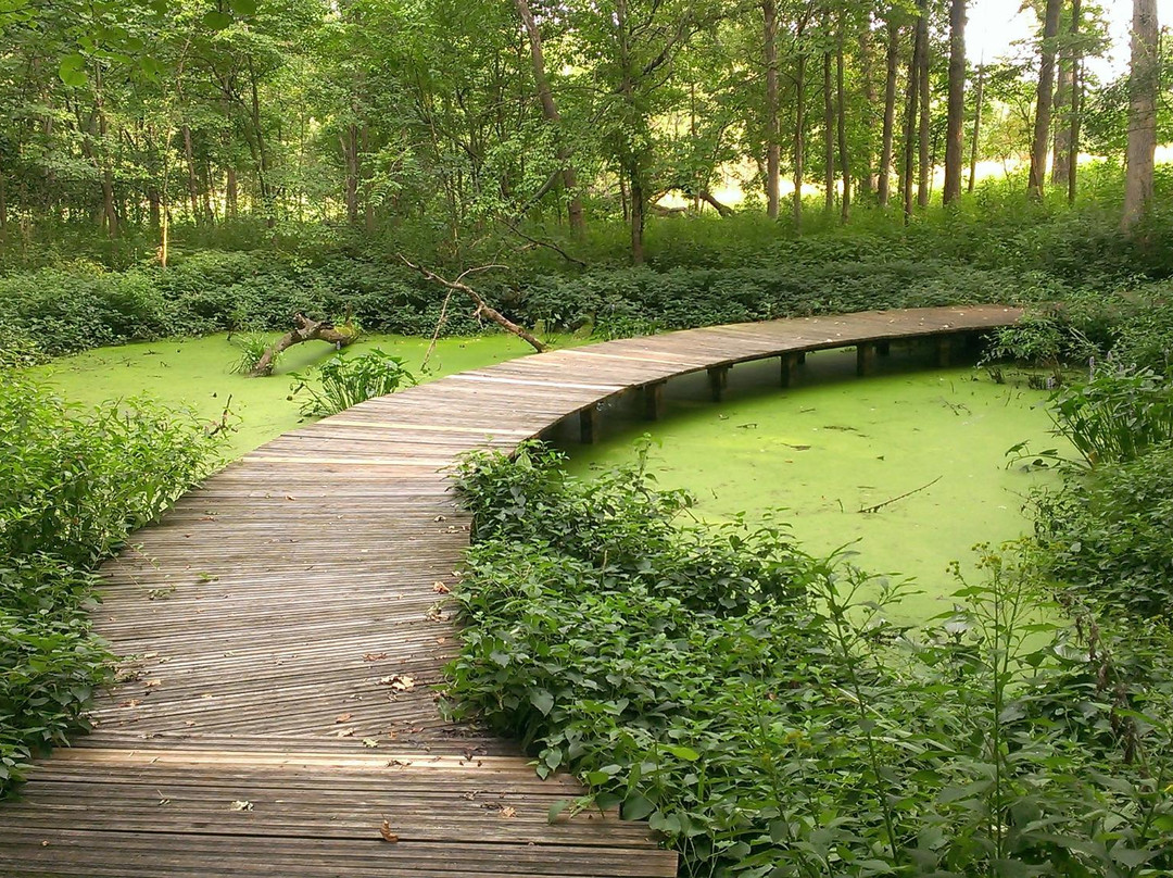 Shaw Nature Reserve景点图片
