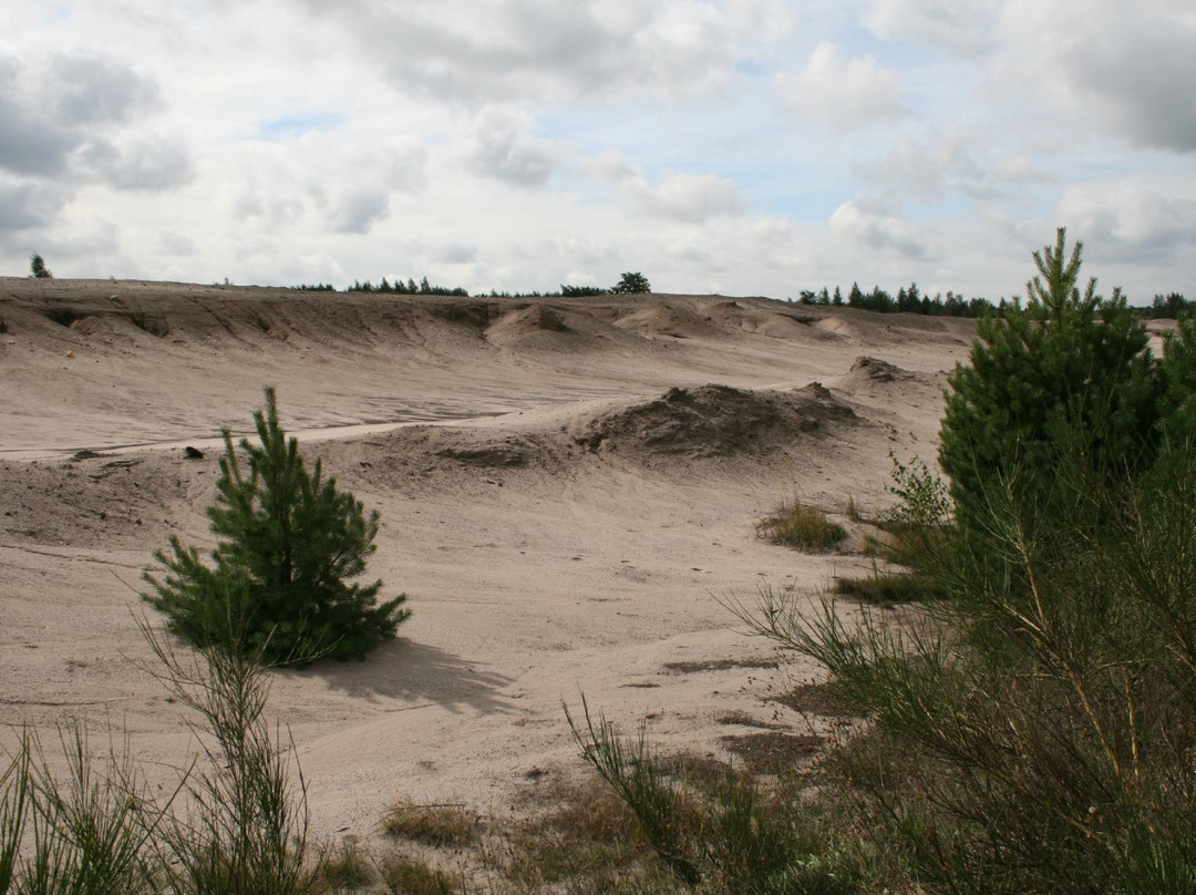 Naturpark Niederlausitzer Heidelandschaft景点图片