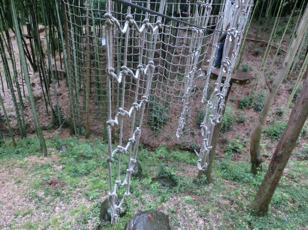 Forest Adventure Ohira-栃木市必去景点