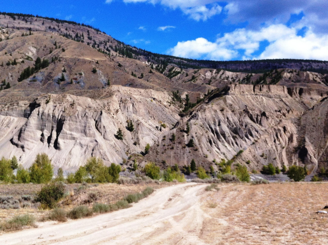 Churn Creek Protected Area景点图片