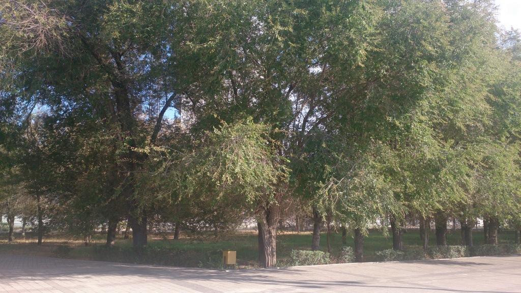 Krasnoarmeyskiy District Embankment景点图片