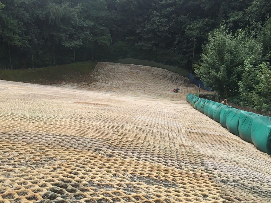 Brentwood Park Ski & Snowboard Centre景点图片