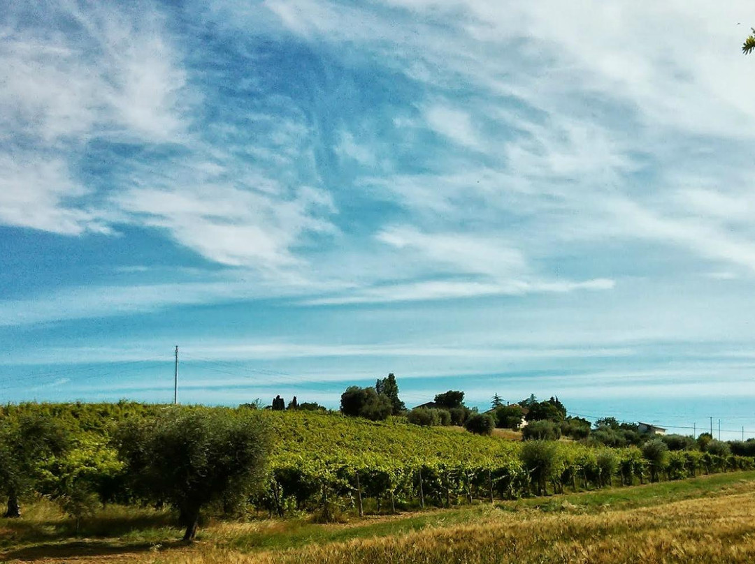 Cantina Suasa-Castelleone di Suasa必去景点