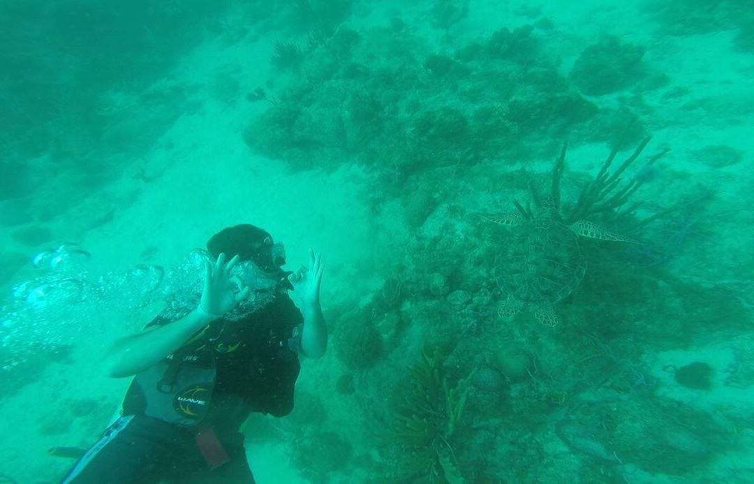 Malmok Reef-棕榈/鹰海滩必去景点