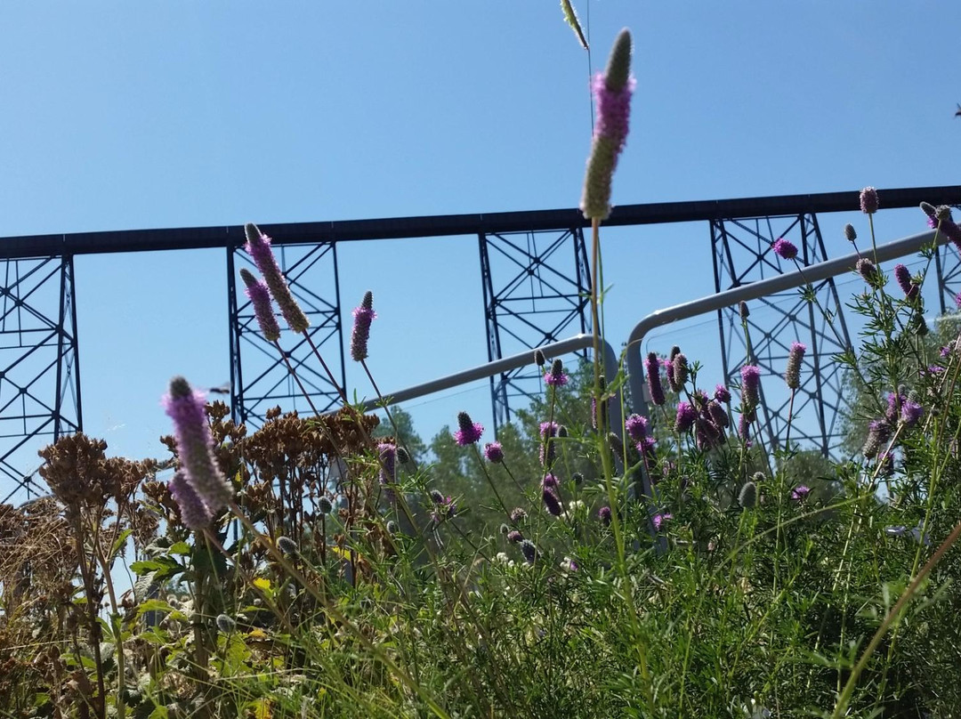 海伦·舒勒自然中心-莱斯布里奇必去景点