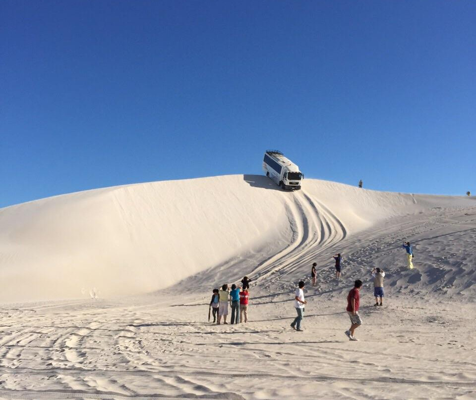 Lancelin Sand Dunes景点图片