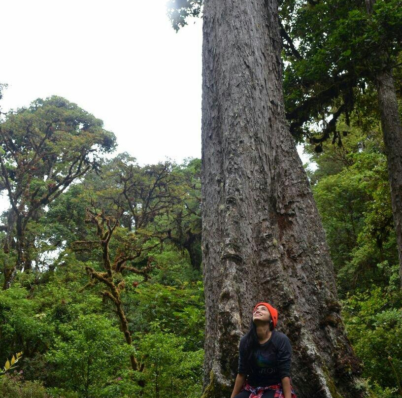 Truchas Selva Madre景点图片