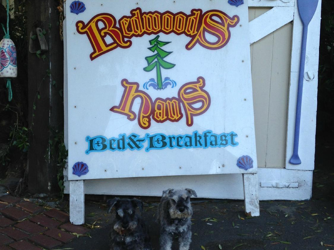 Redwoods Haus Bed and Breakfast主图