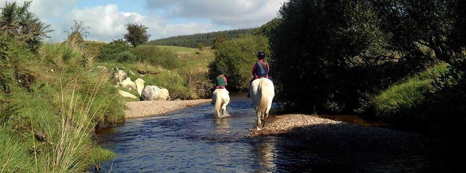 Hollywood Horse and Pony Trekking-Wicklow必去景点