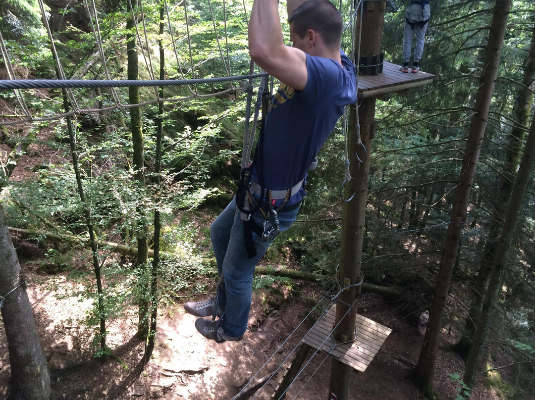 Parc Arbre Aventure-Kruth必去景点