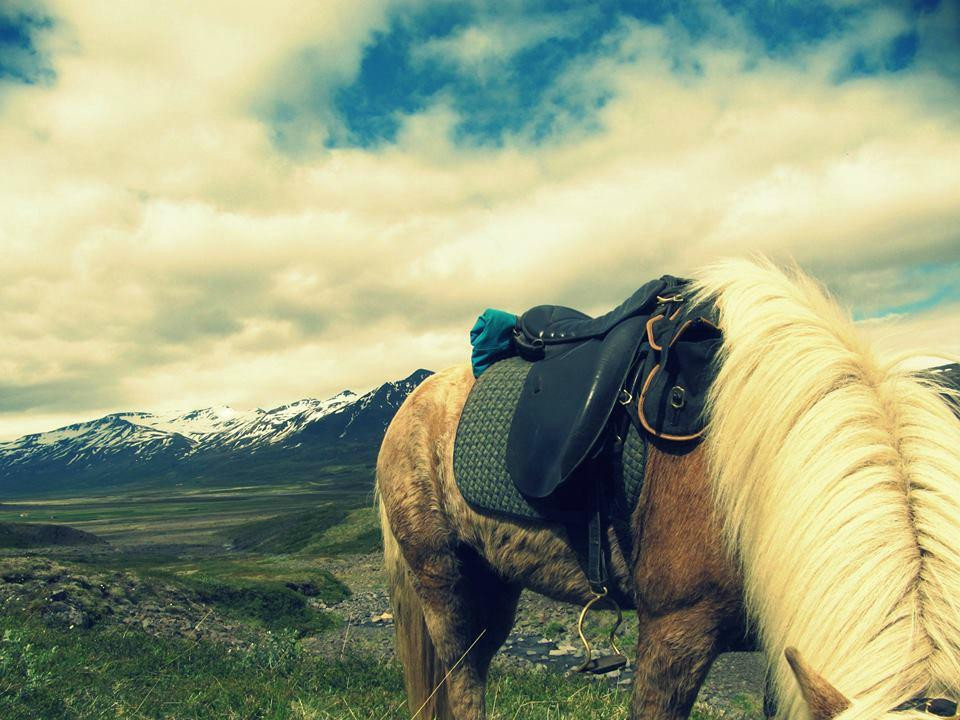 Odin Tours-Breiddalsvik必去景点