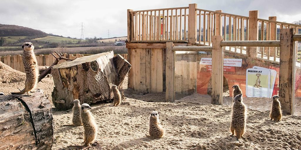 Lee Valley Animal Adventure Park景点图片