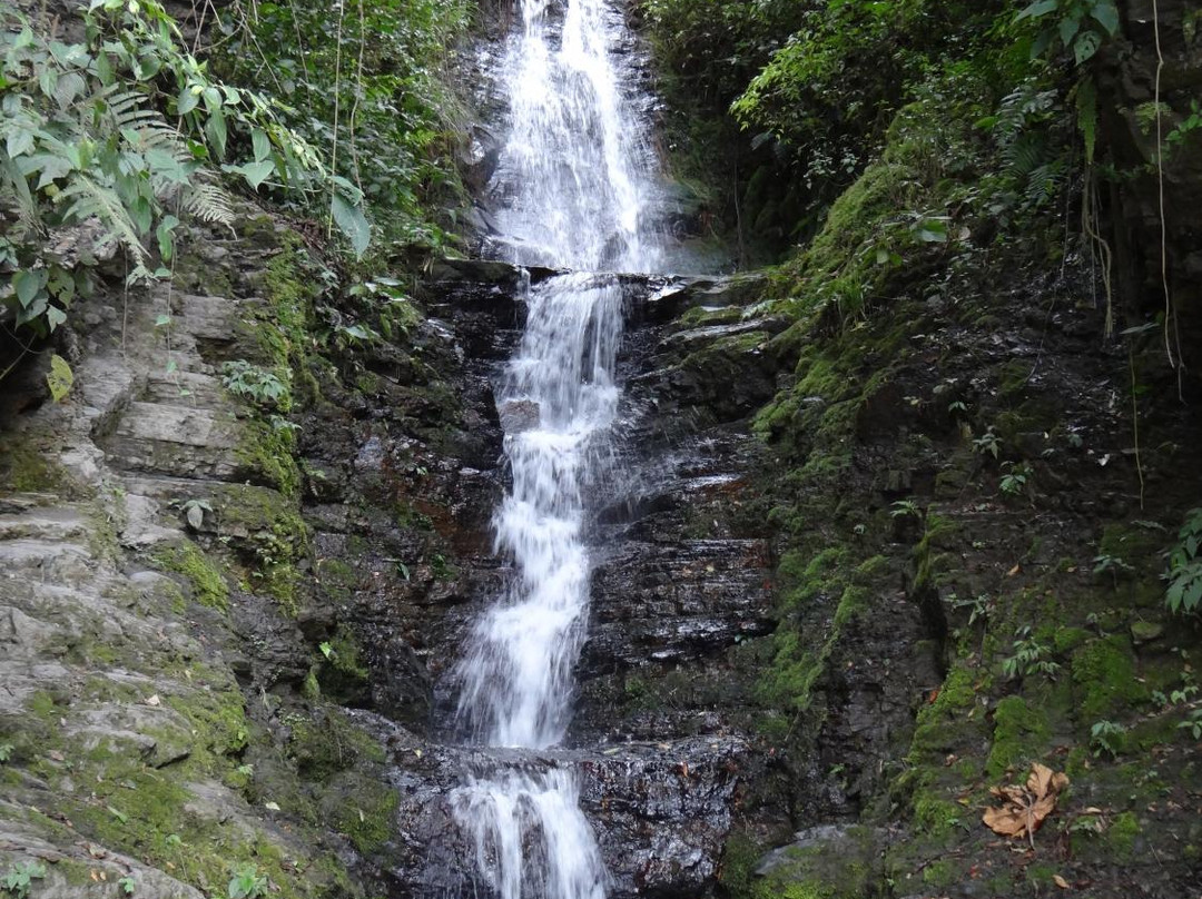 San Juan waterfalls-Coroico必去景点
