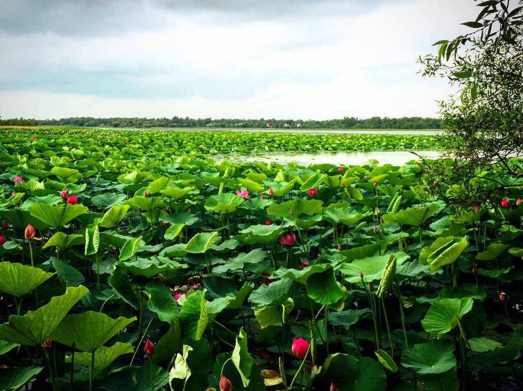 Galkino旅游攻略图片