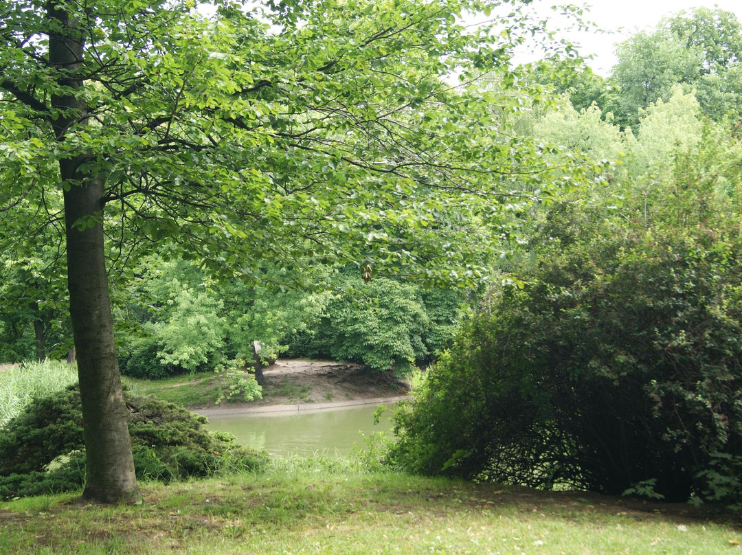 Woodrow Wilson Park-波兹南必去景点