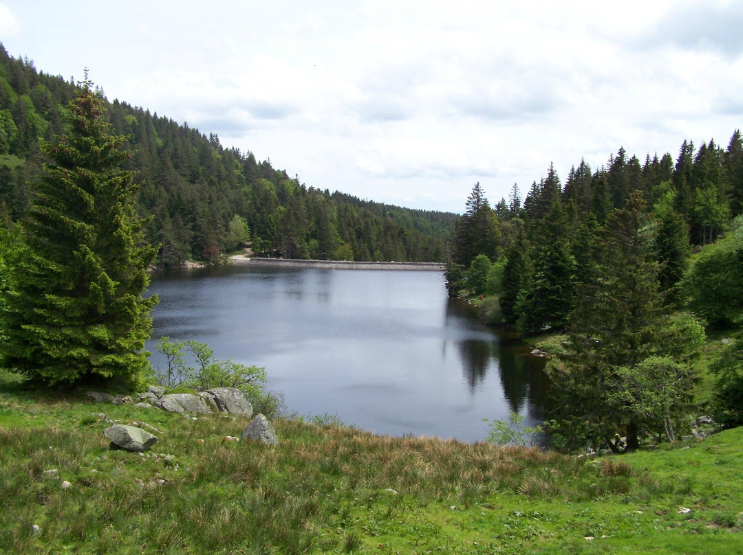 Lac des Truites-Soultzeren必去景点