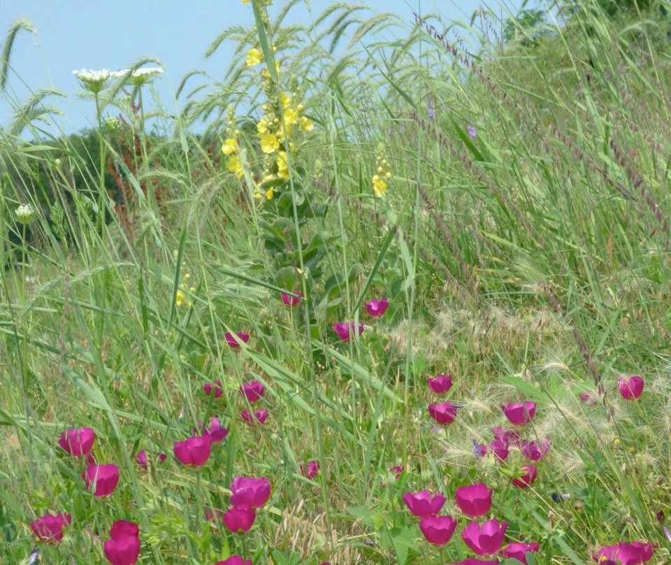 Terry Trueblood Recreational Area-爱荷华城必去景点