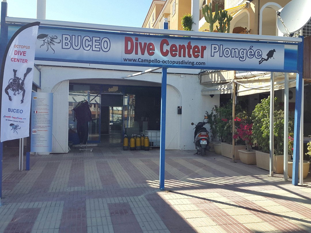 Octopus Diving-坎佩略必去景点