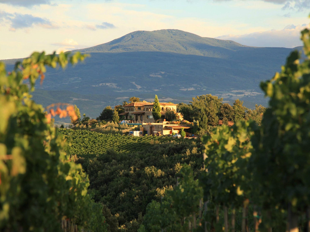 Castelnuovo dell'Abate旅游景点-Terralsole