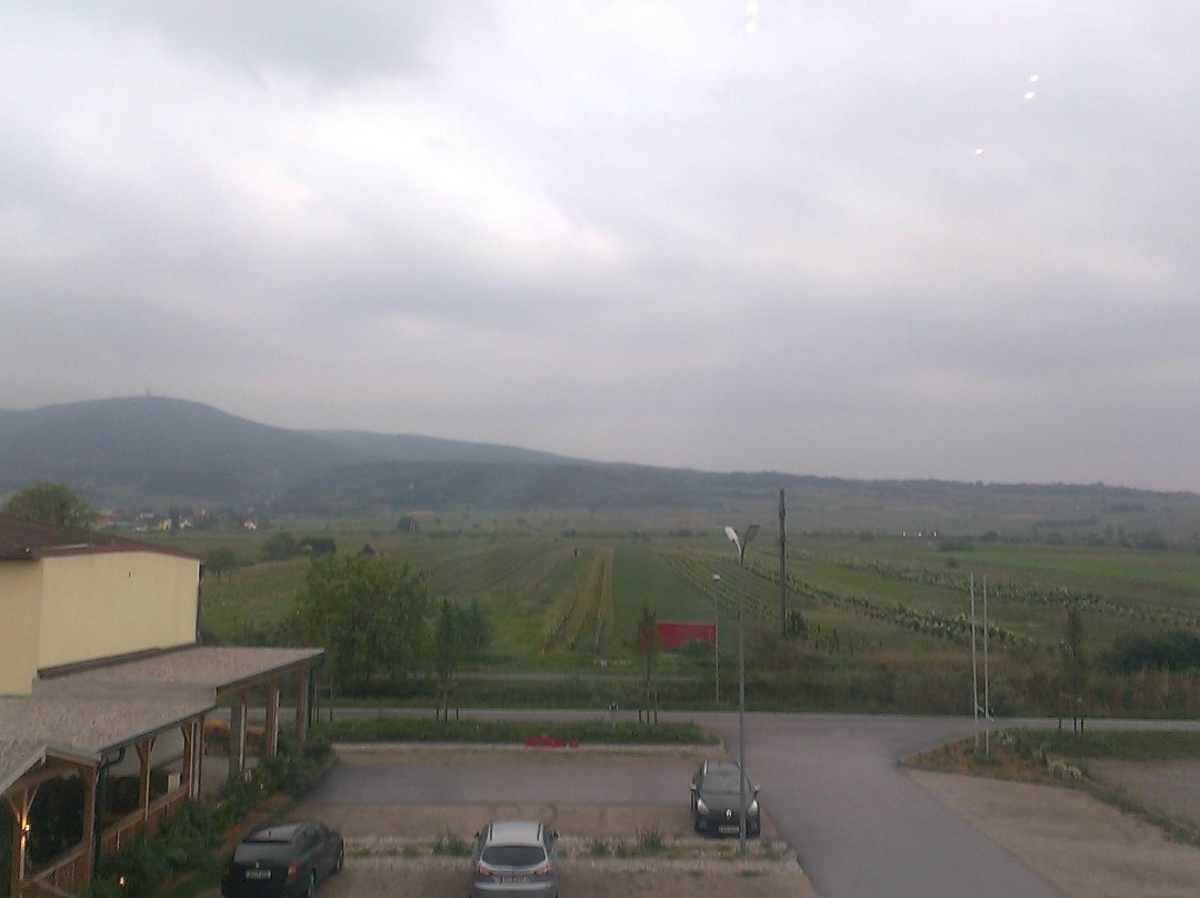 Gasthof Keller主图