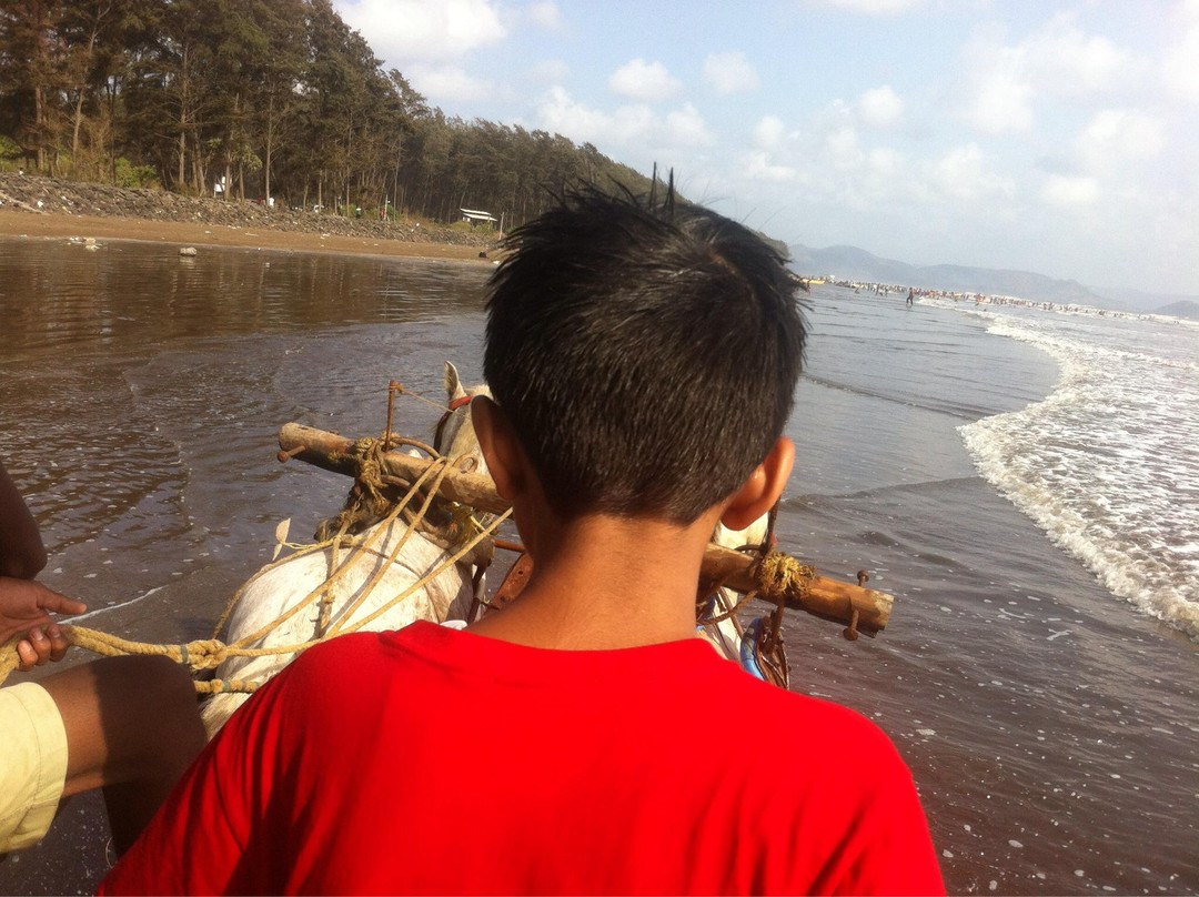 Nagaon Beach-阿里包格必去景点