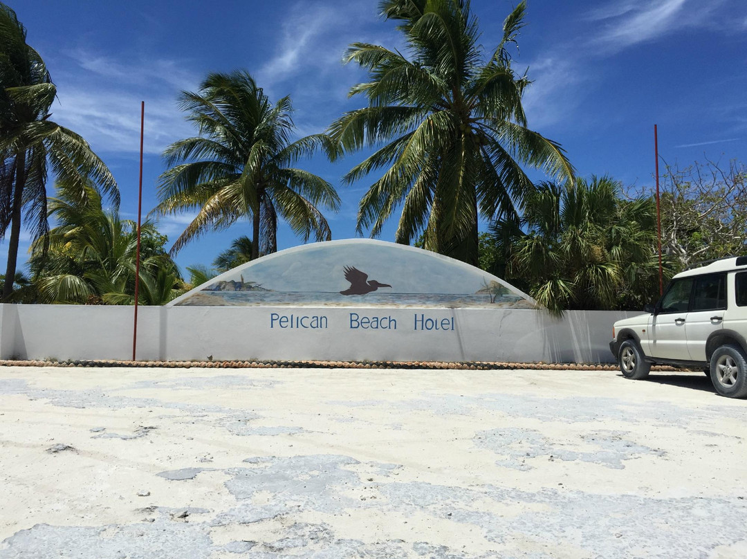 Pelican Beach-Whitby必去景点