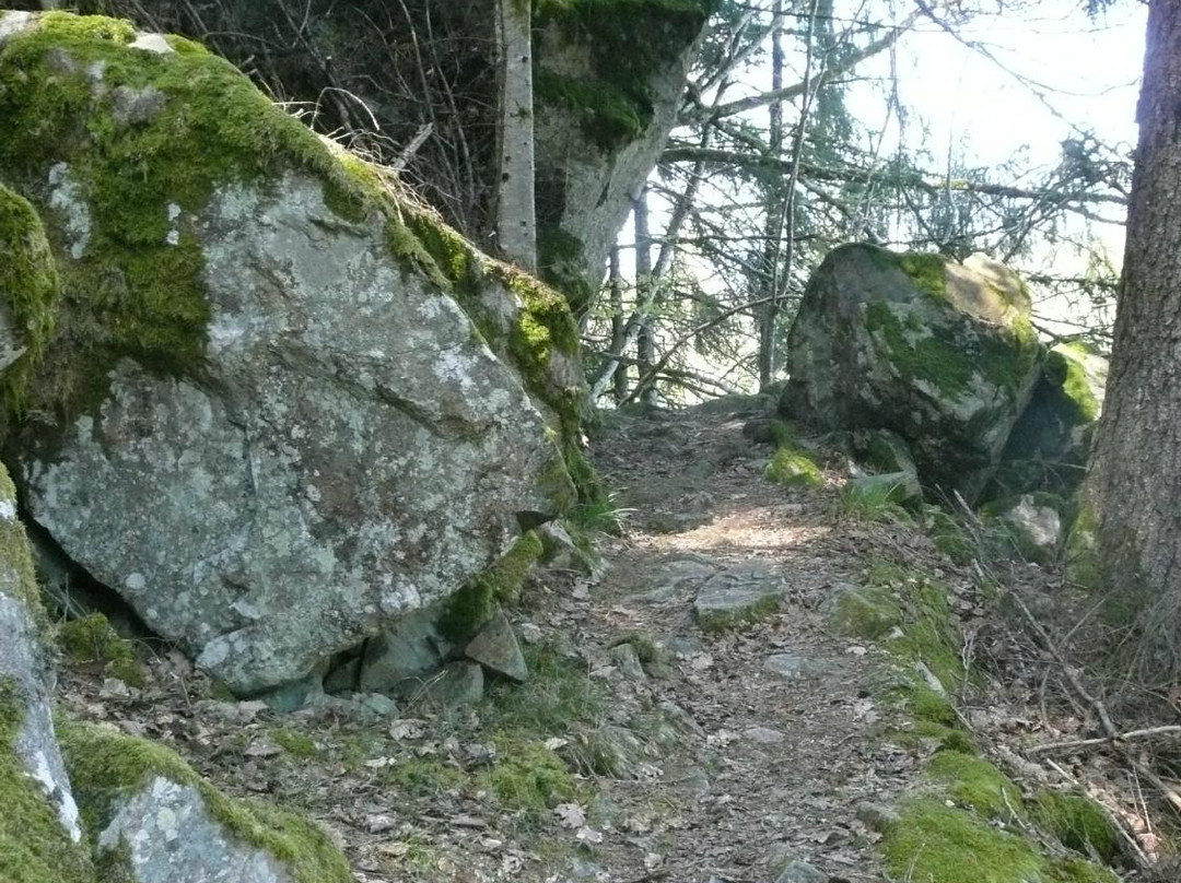 Felsenweg Höchenschwand景点图片