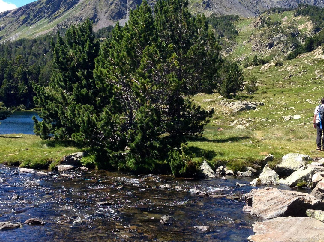 Estanys de Camporells景点图片