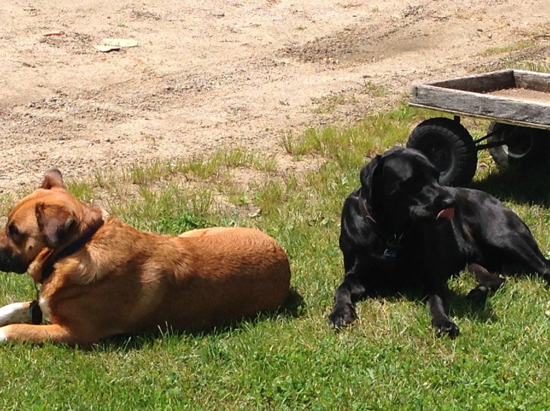 Manfredi Farms-韦斯特利必去景点