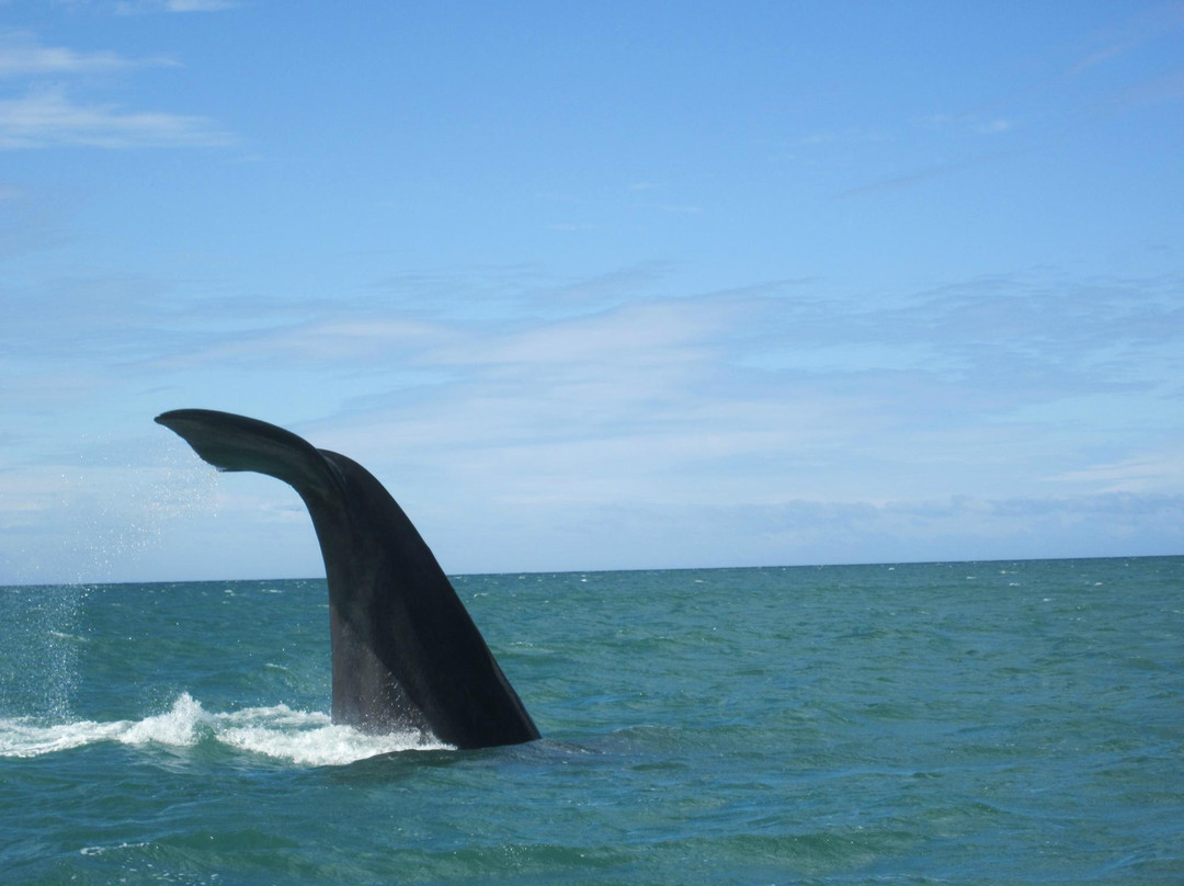 High Five-Bloubergstrand必去景点