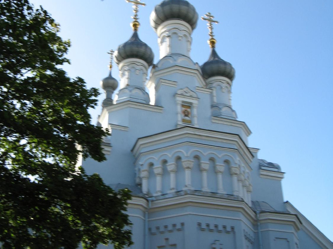 Cathedral of Vladimir Icon of Our Lady景点图片