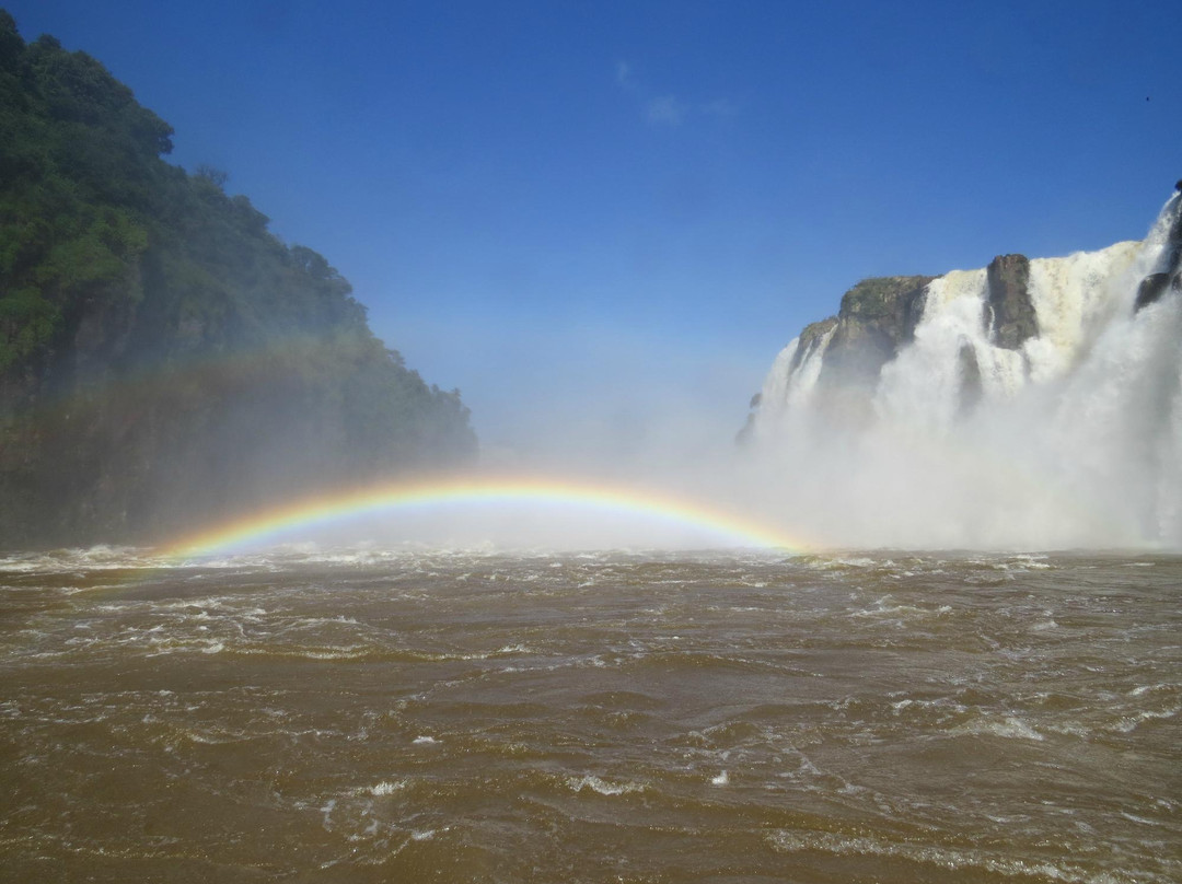 Safaris de la Selva-伊瓜苏港必去景点