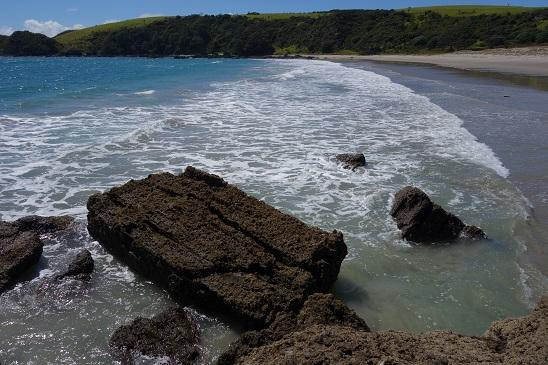 Tawharanui Regional Park-瓦卡沃夫必去景点