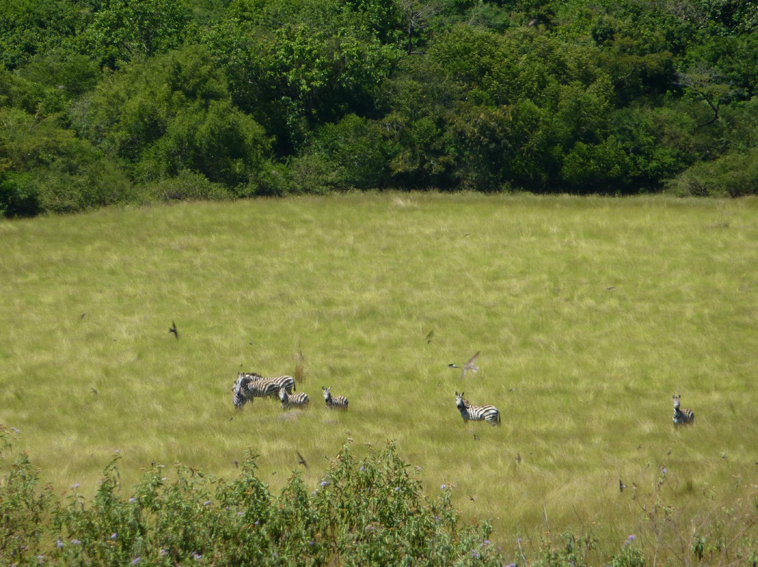 Ndere Island National Park-基苏木必去景点