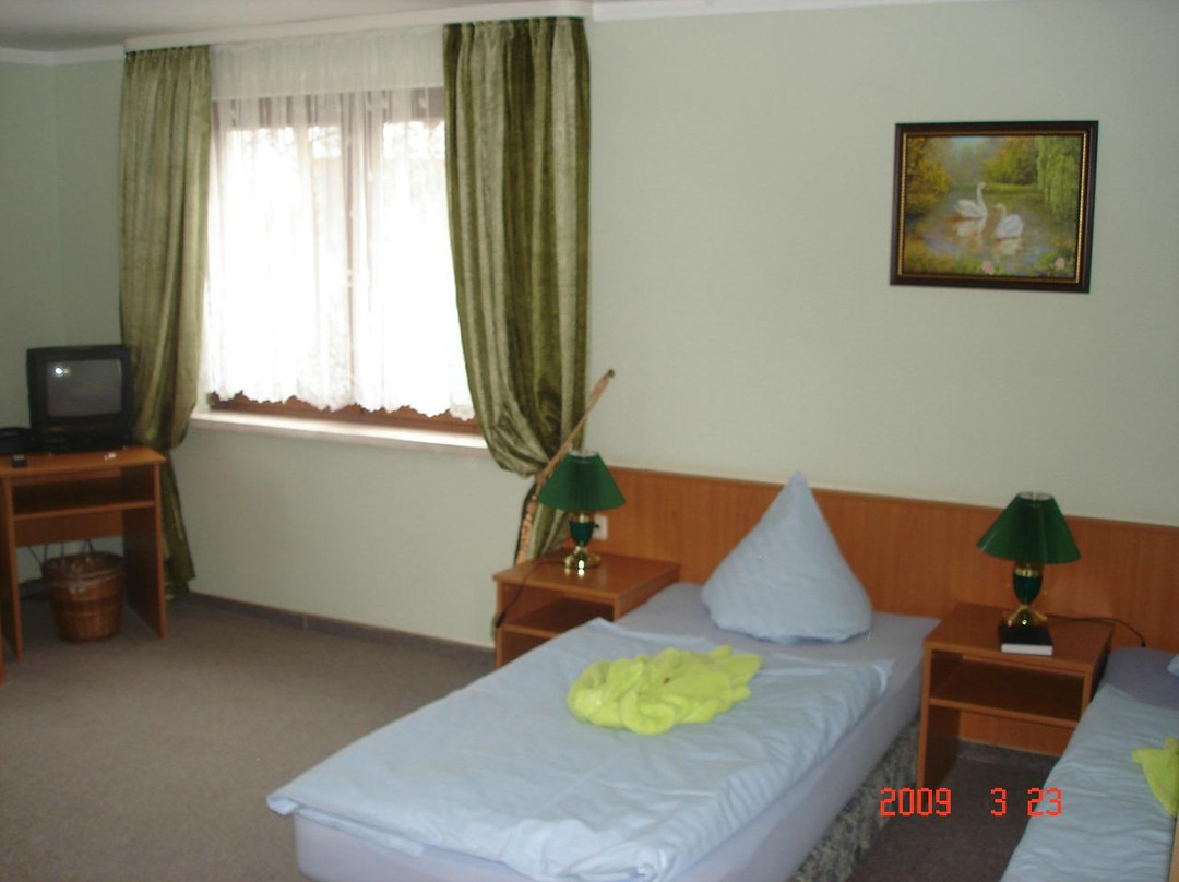 Schwanenteich Pension主图