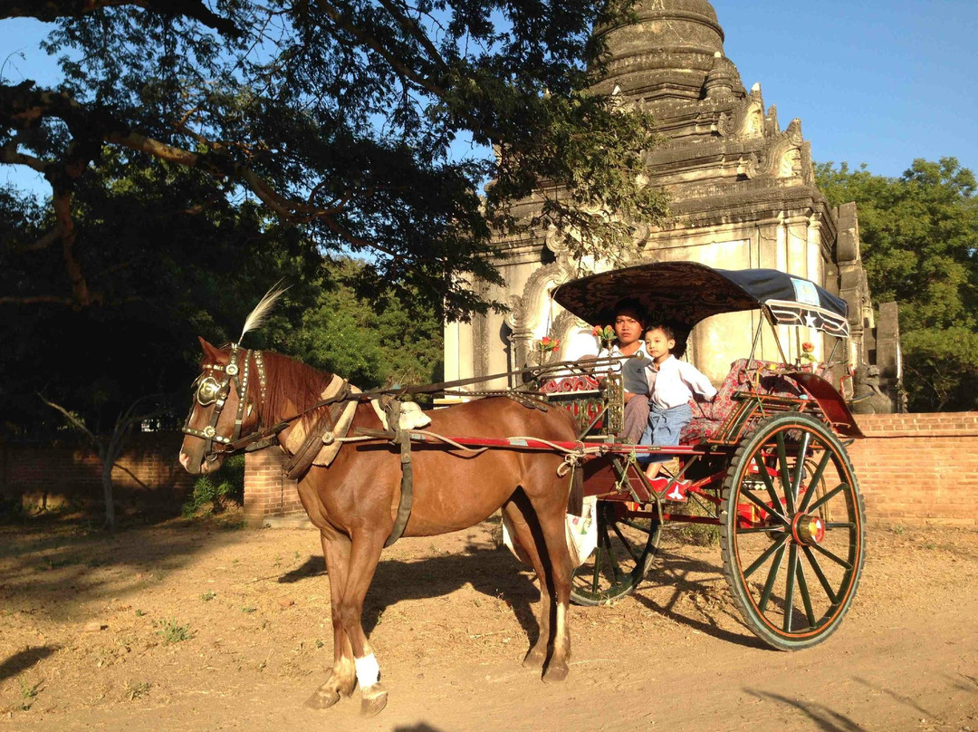 Horse Cart 144-蒲甘必去景点