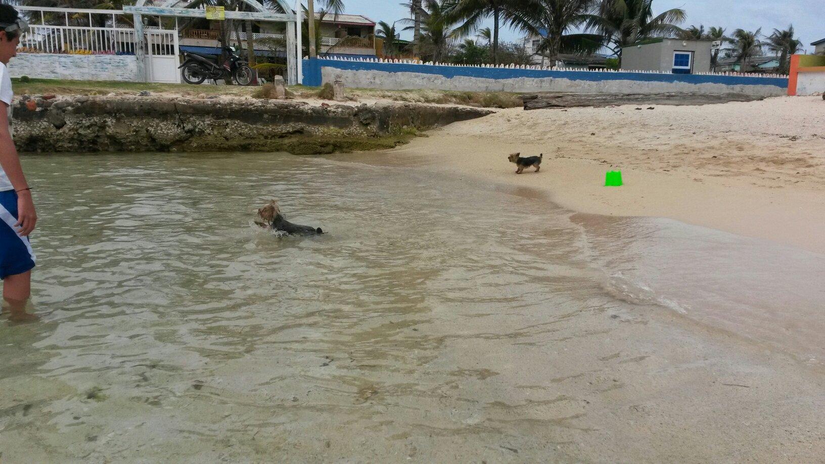 Yellow Moon Guesthouse & Apartments-客卧