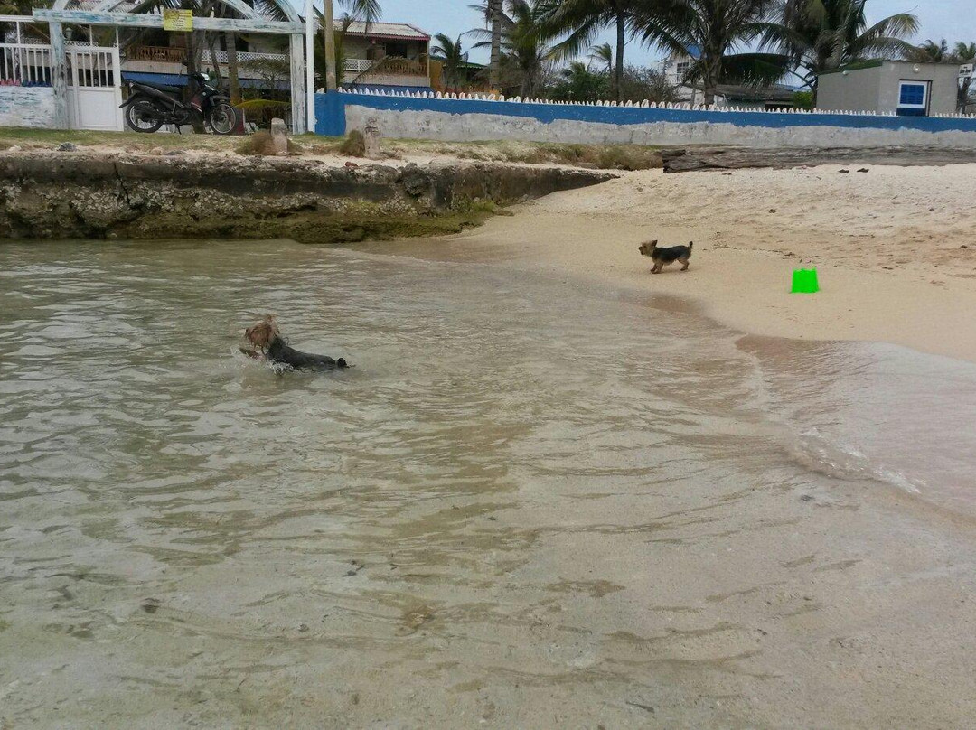 Yellow Moon Guesthouse & Apartments主图