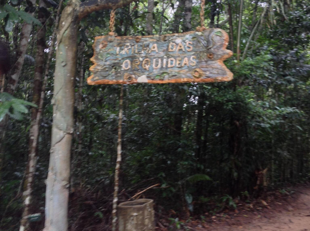 Presidente Figueiredo旅游景点-Cachoeira da Onça