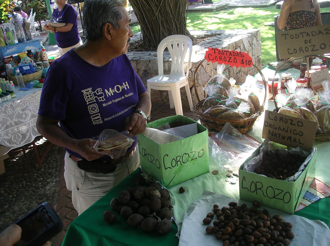 Mercado Orgánico Huatulco-Crucecita必去景点