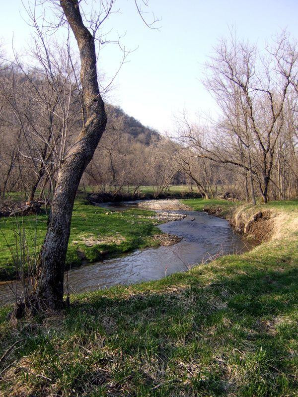 Driftwood Inn Motel主图