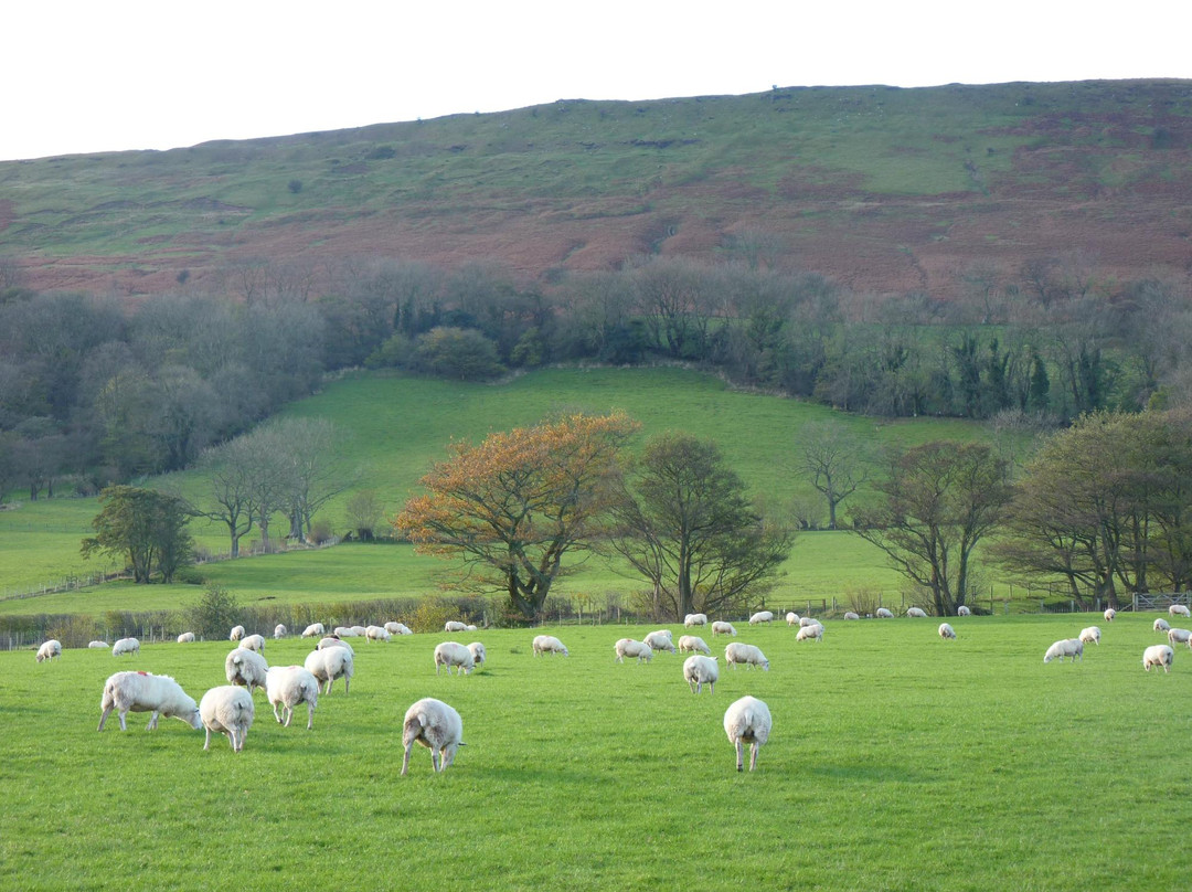 White Haywood Farm B&B主图